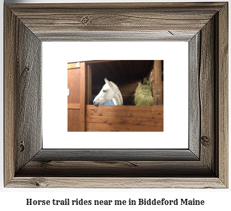 horse trail rides near me in Biddeford, Maine